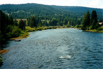 The upper Madison River